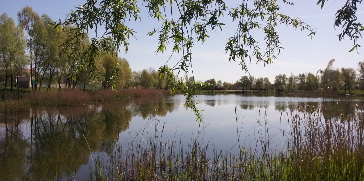 Agro Lake